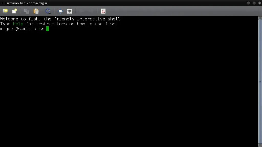 Un nuevo terminal con fish como intérprete de comandos con el mensaje de bienvenida por defecto.